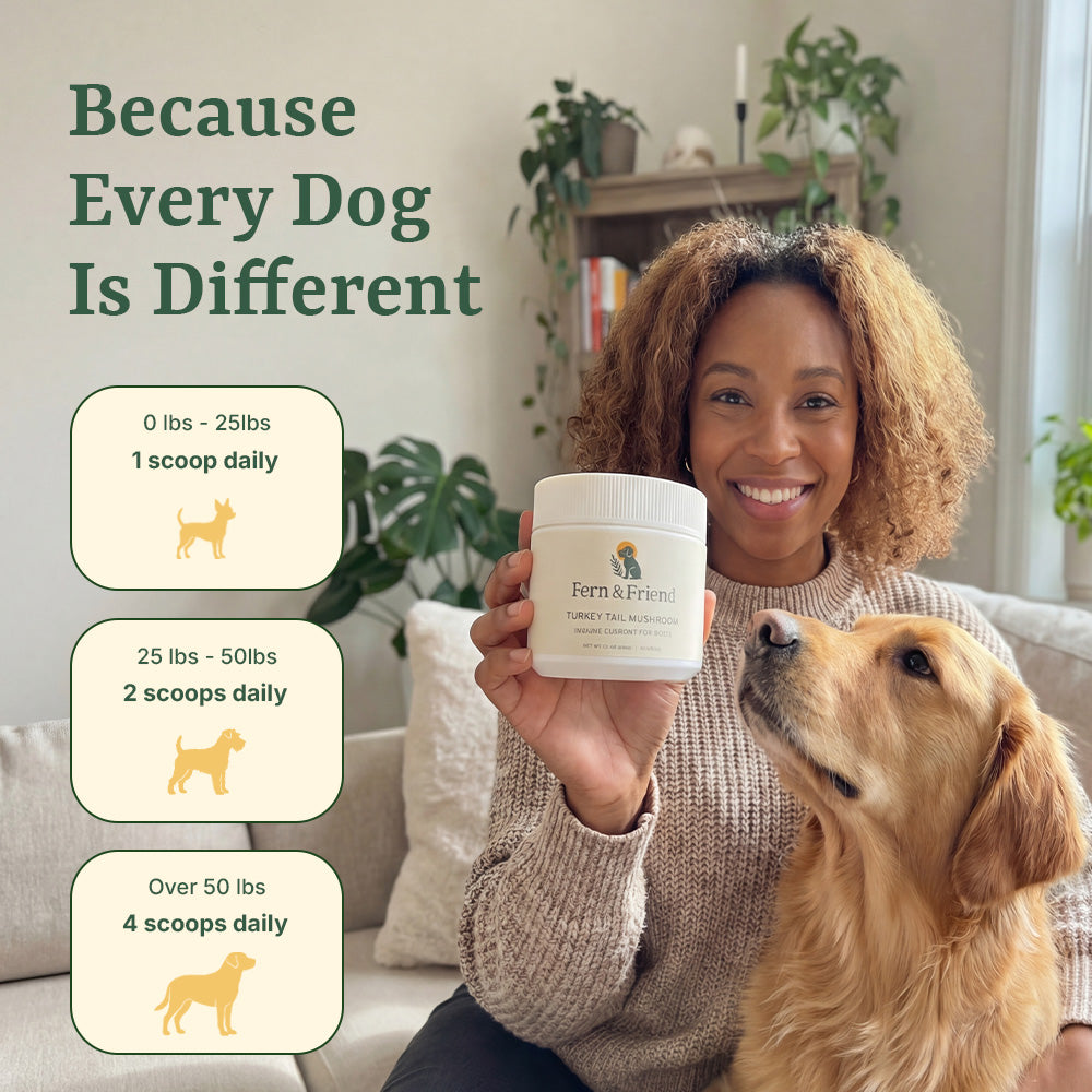 Turkey Tail Supplement For Dogs