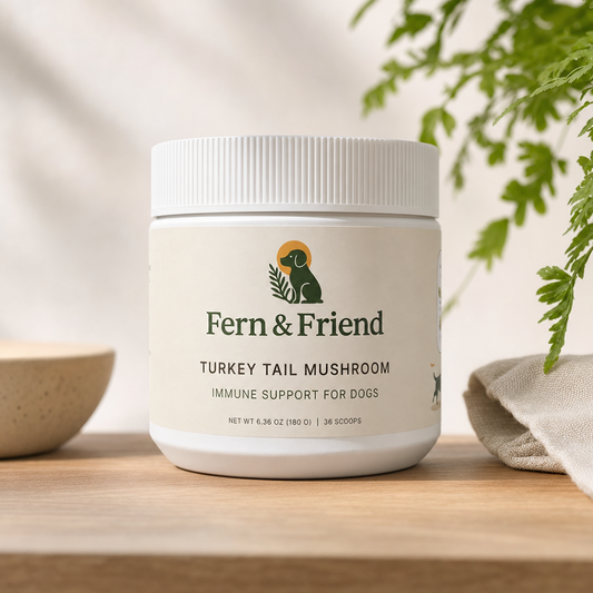 Turkey Tail Supplement For Dogs