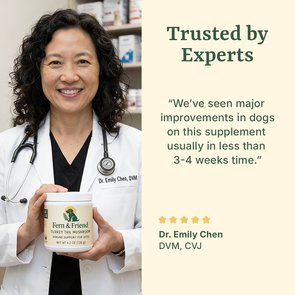 Turkey Tail Supplement For Dogs