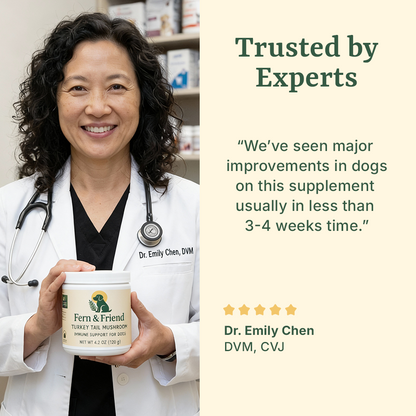 Turkey Tail Supplement For Dogs