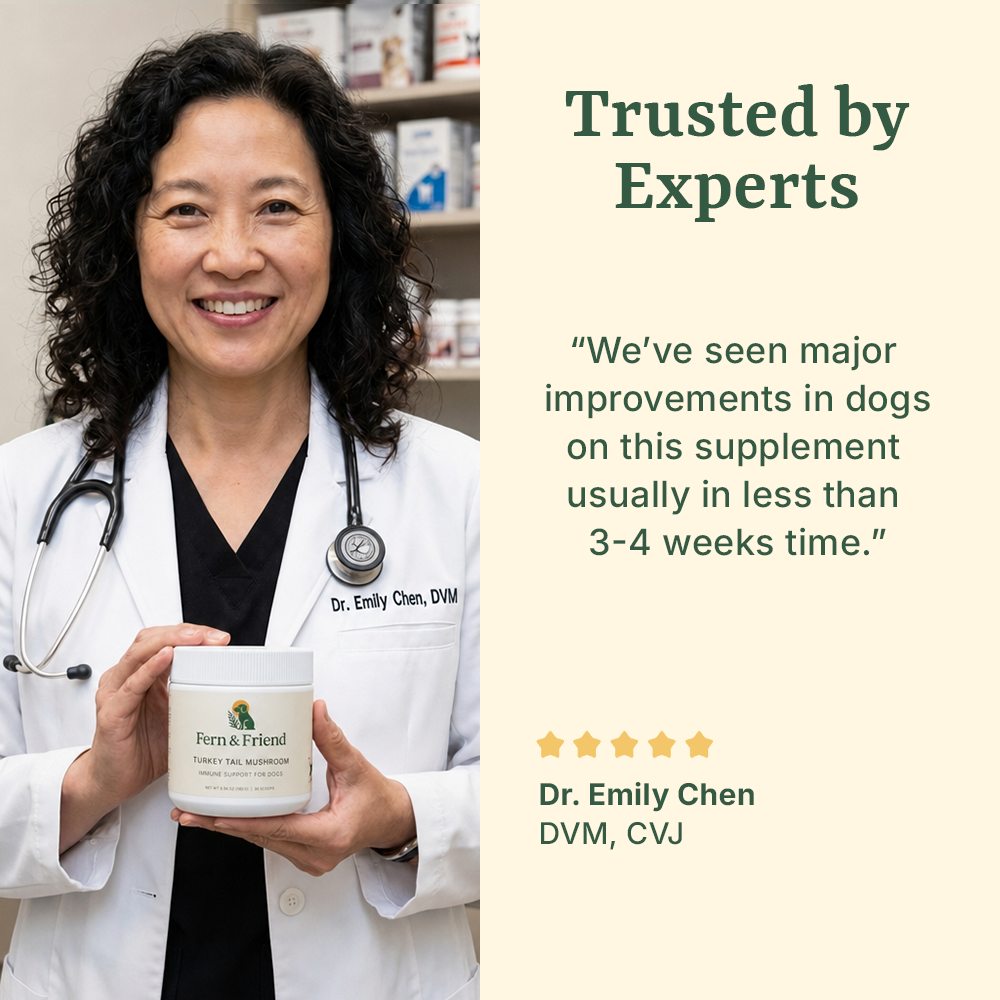 Turkey Tail Supplement For Dogs