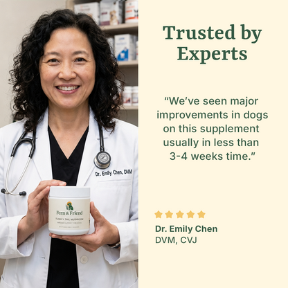 Turkey Tail Supplement For Dogs